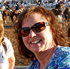 Herder Arabians Horses for Sale